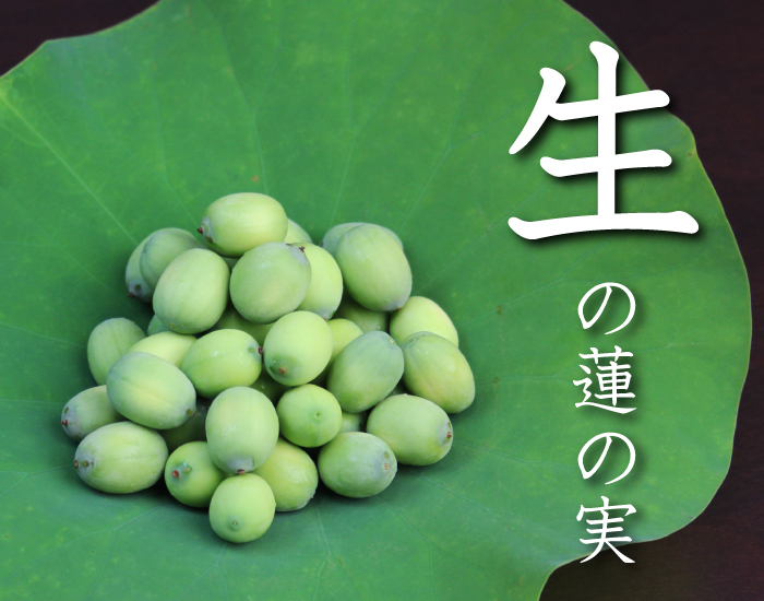 毎日仏教の名言